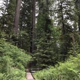 Shadow Of The Sentinels Trailhead