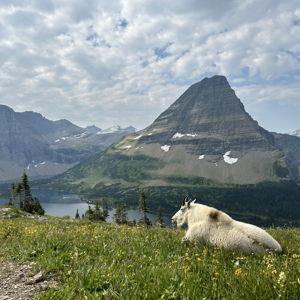 National Parks Annual Pass