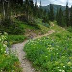 Telluride hiking trails
