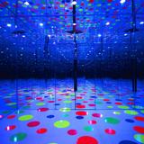 Mattress Factory Contemporary Art Museum