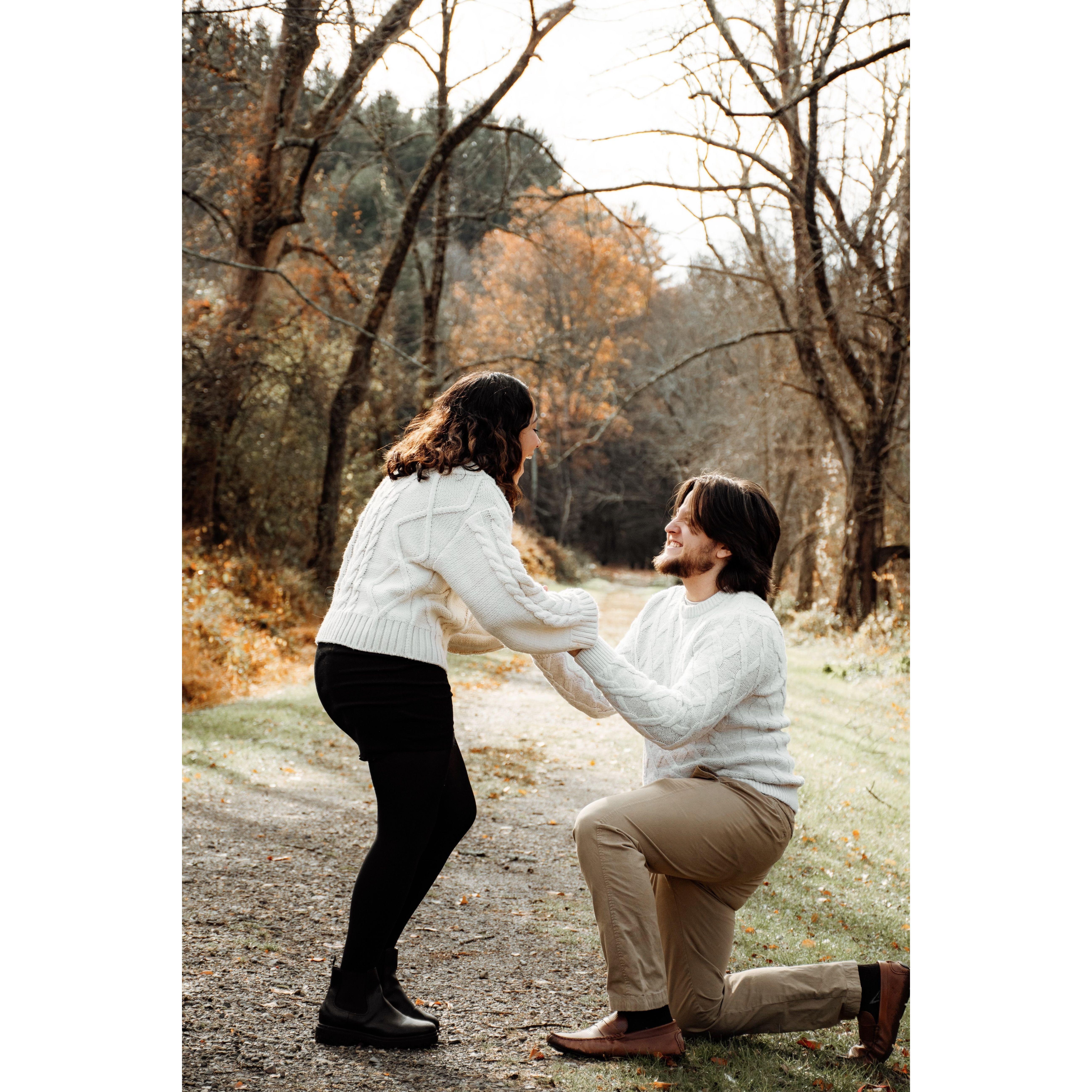 When family Christmas photos turned into an engagement.
