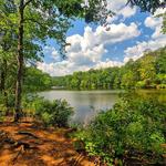 Paris Mountain State Park