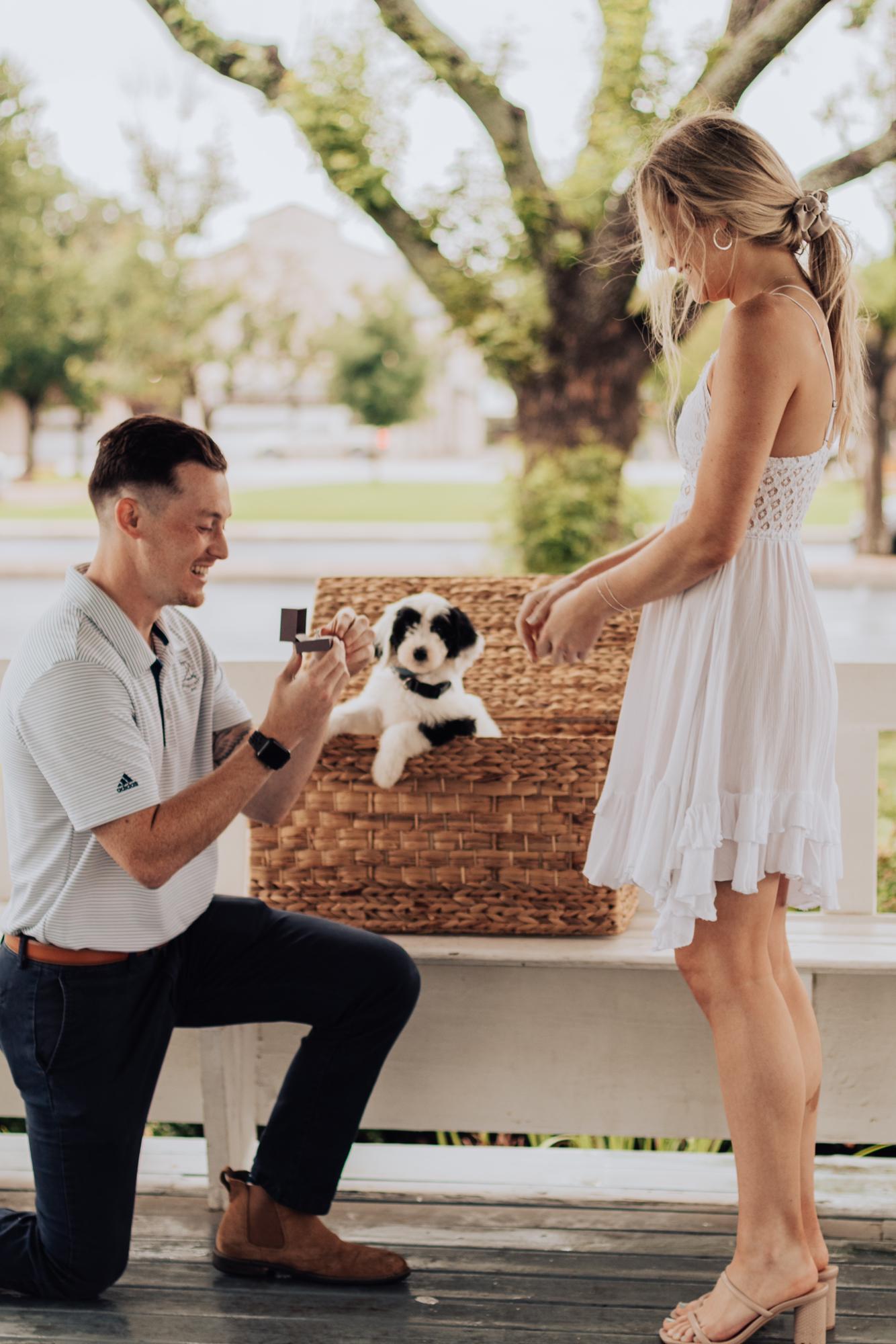 Changed into dry clothes for “dinner” and the rain immediately stopped as we walked up for the proposal.