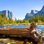 Sequoia National Park