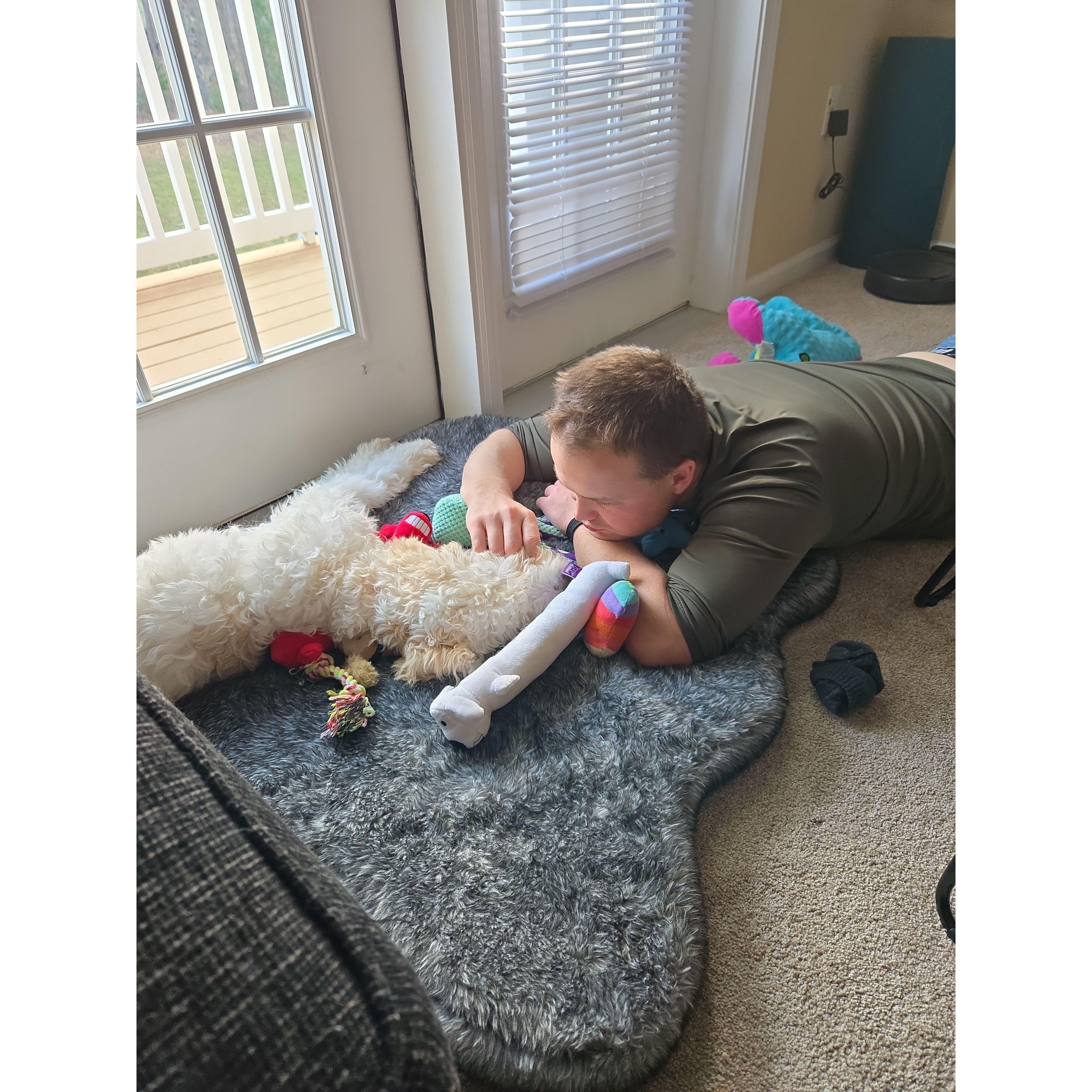 Lazy Days
December of 2024