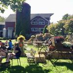 Hopkins Vineyard