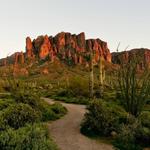 Lost Dutchman State Park