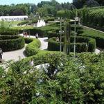 The Alnwick Garden