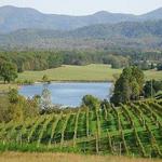 Afton Mountain Vineyards