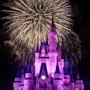 Annual Passes to Walt Disney World