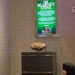 Kiss the Blarney Stone at the D