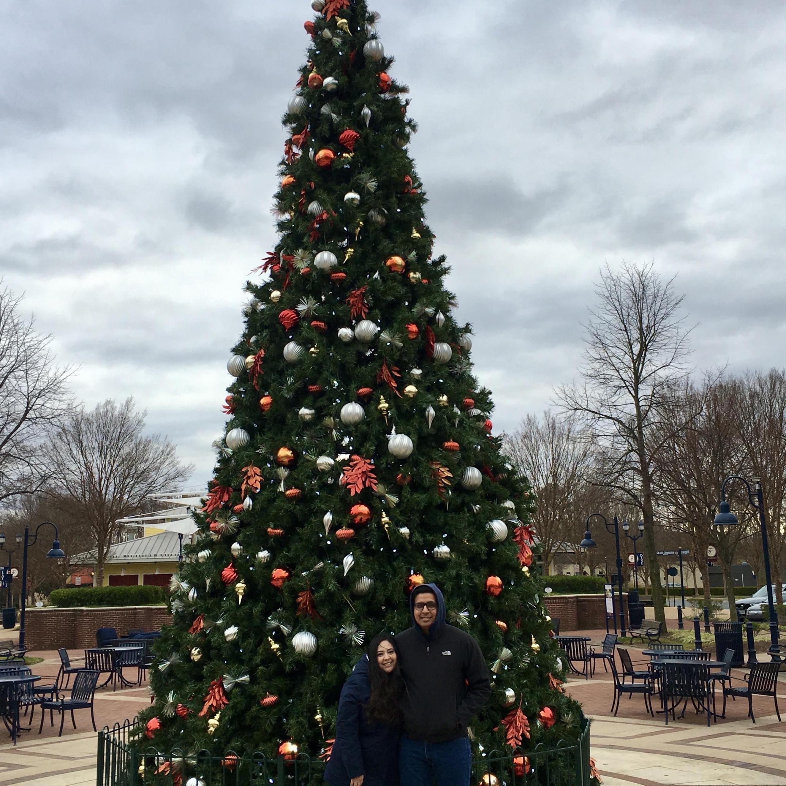 Our Christmas tree picture
