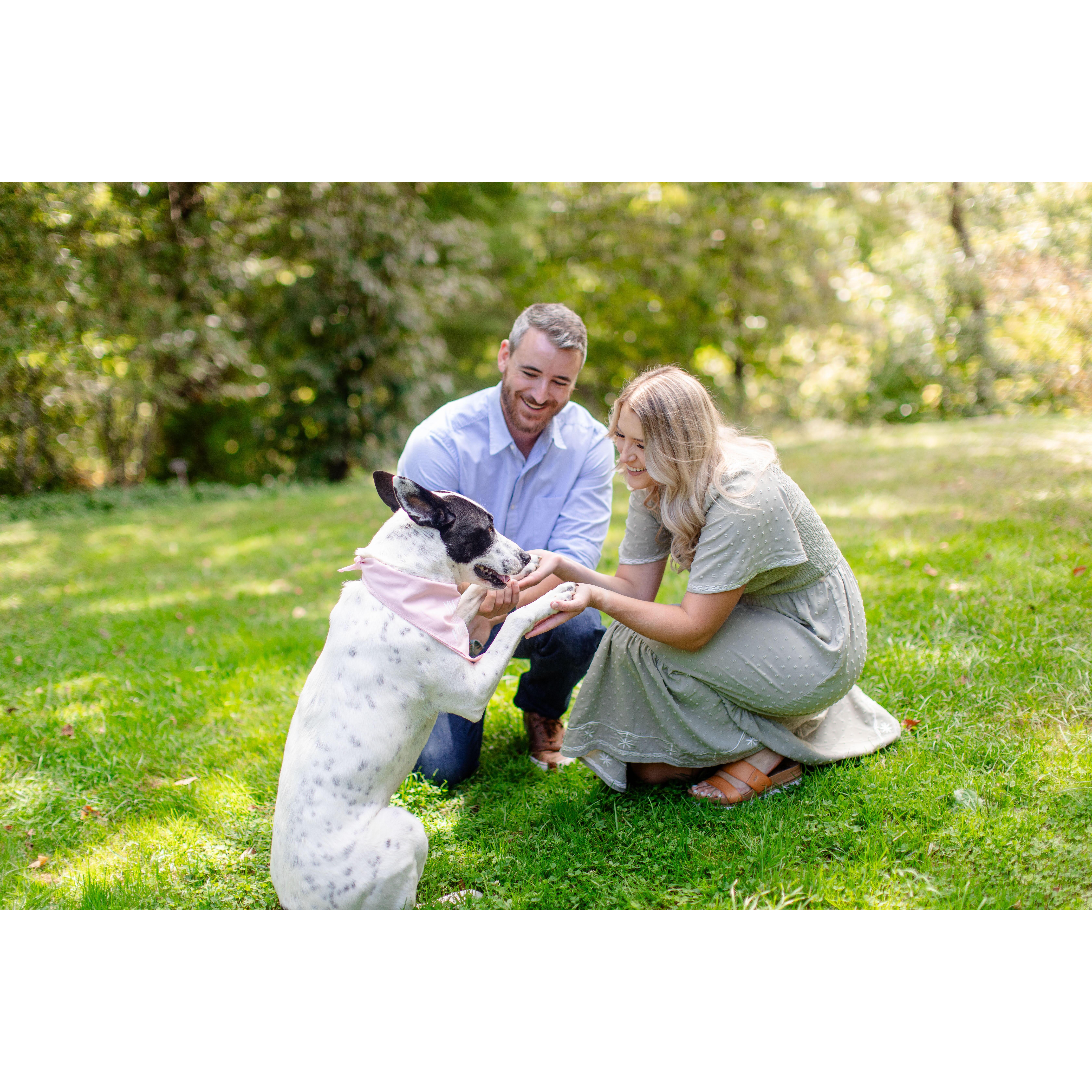Struggling to get Winnie to look at the camera during our engagement session.
9/8/24
