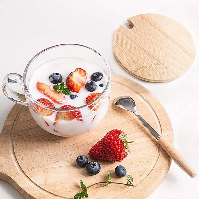 PARACITY Glass Cup 15OZ Clear Coffee Mug with Lids Spoon for Breakfast Tea,Milk,Beverage,Oats,yoghurt