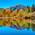 Bald Mountain