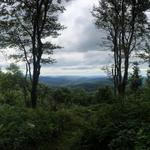 Bramley Mountain Trail