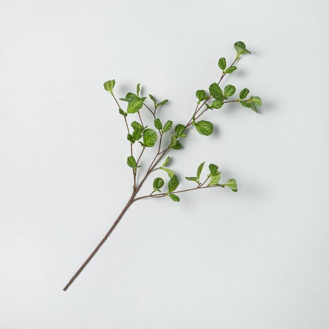 18" Faux Hazel Leaf Stem - Hearth & Hand™ with Magnolia