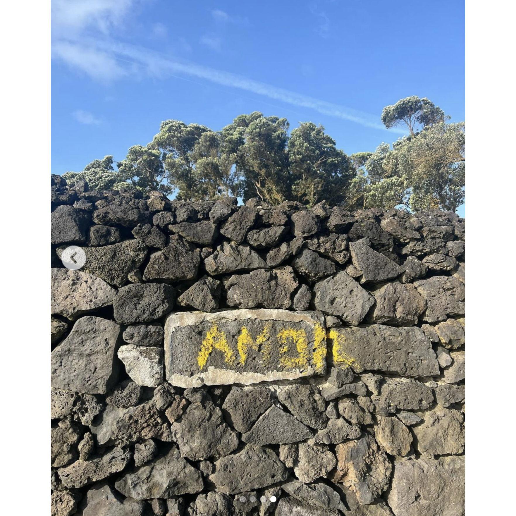 marcando el mundo al andar