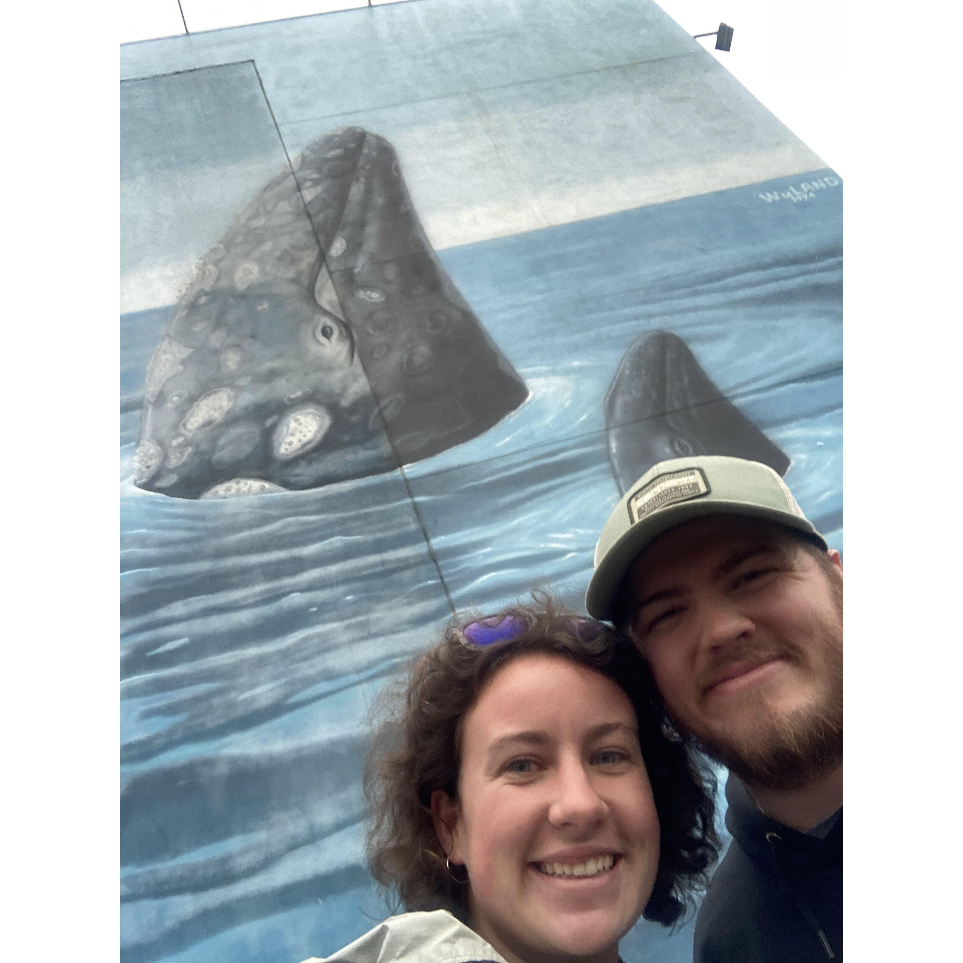 Aquarium by the Bay, San Francisco, California