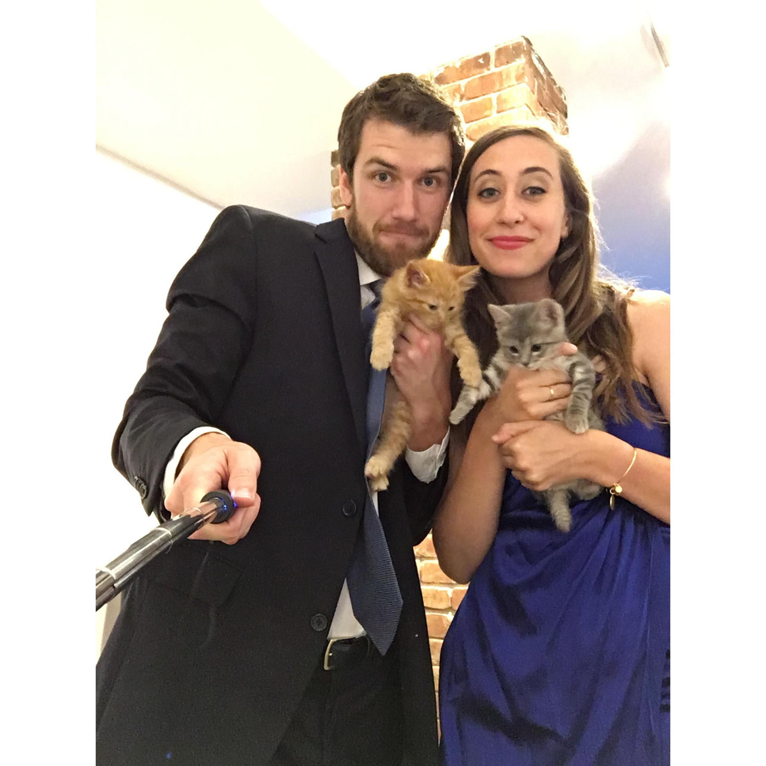 Here we are dressed up for Stanford grad prom in 2016. Corey was also fostering two adorable kittens at the time! They are much cuter than us.