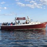 Rugosa Lobster Tours