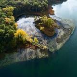 Asylum Lake Preserve