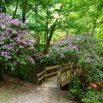 Core Arboretum
