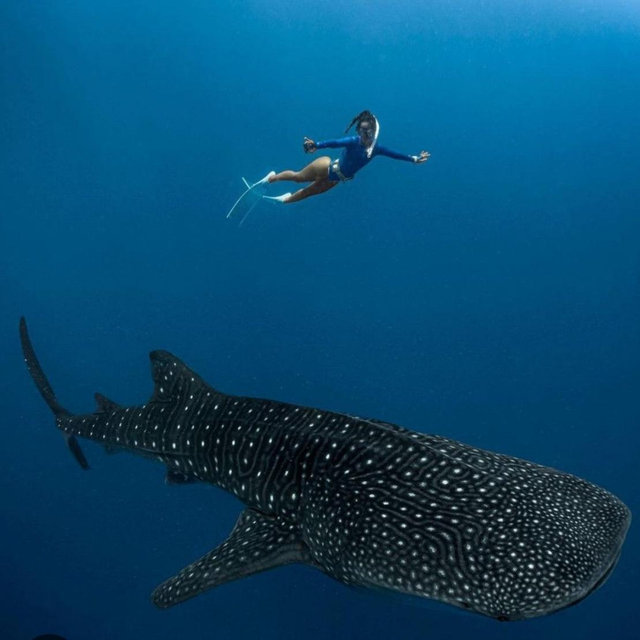 Honeymoon excursions