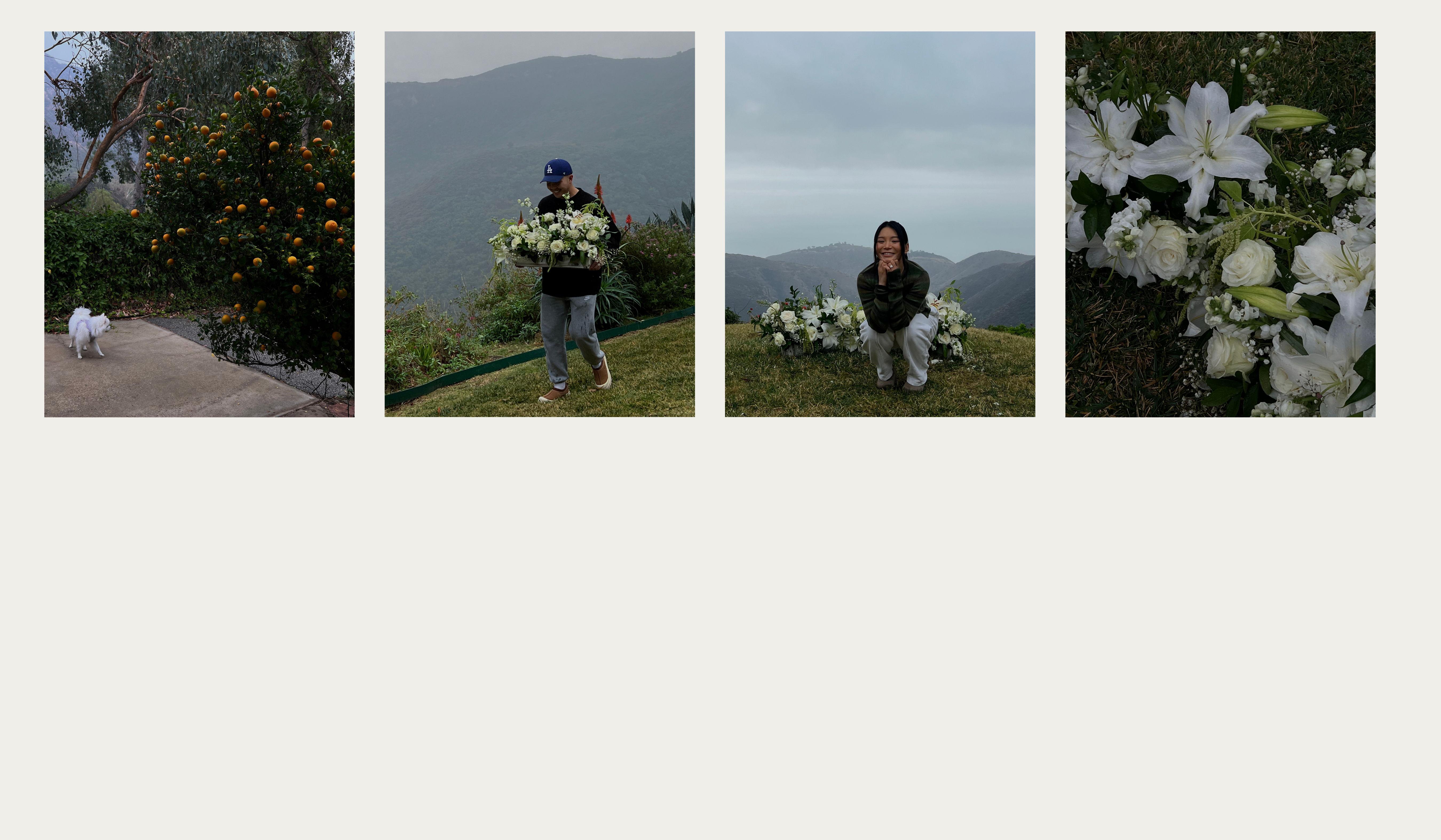 Footer image
