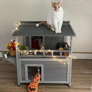 Honeymoon/Home Improvements (venmo, no fee)