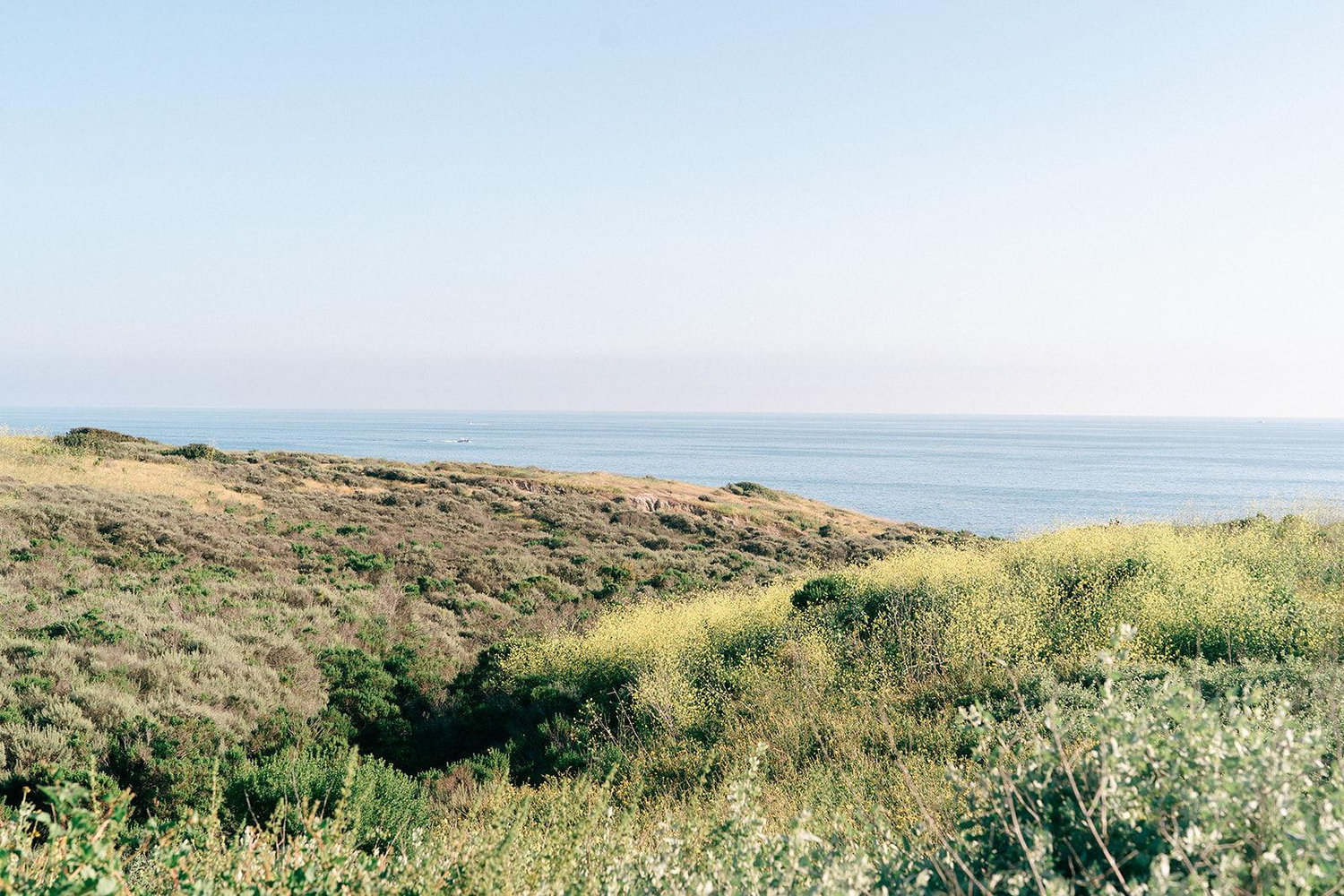The Wedding Website of Jeffrey Kim and Allison Kim
