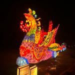 Asian Lantern Festival