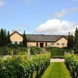 Wölffer Estate Vineyard