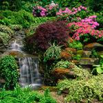 Cleveland Botanical Garden