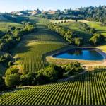 Napa Valley