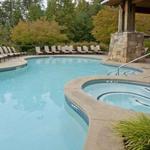 Pool Day