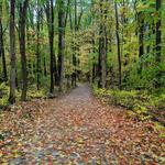 Highbanks Metro Park