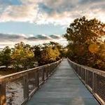 Cape Henlopen State Park