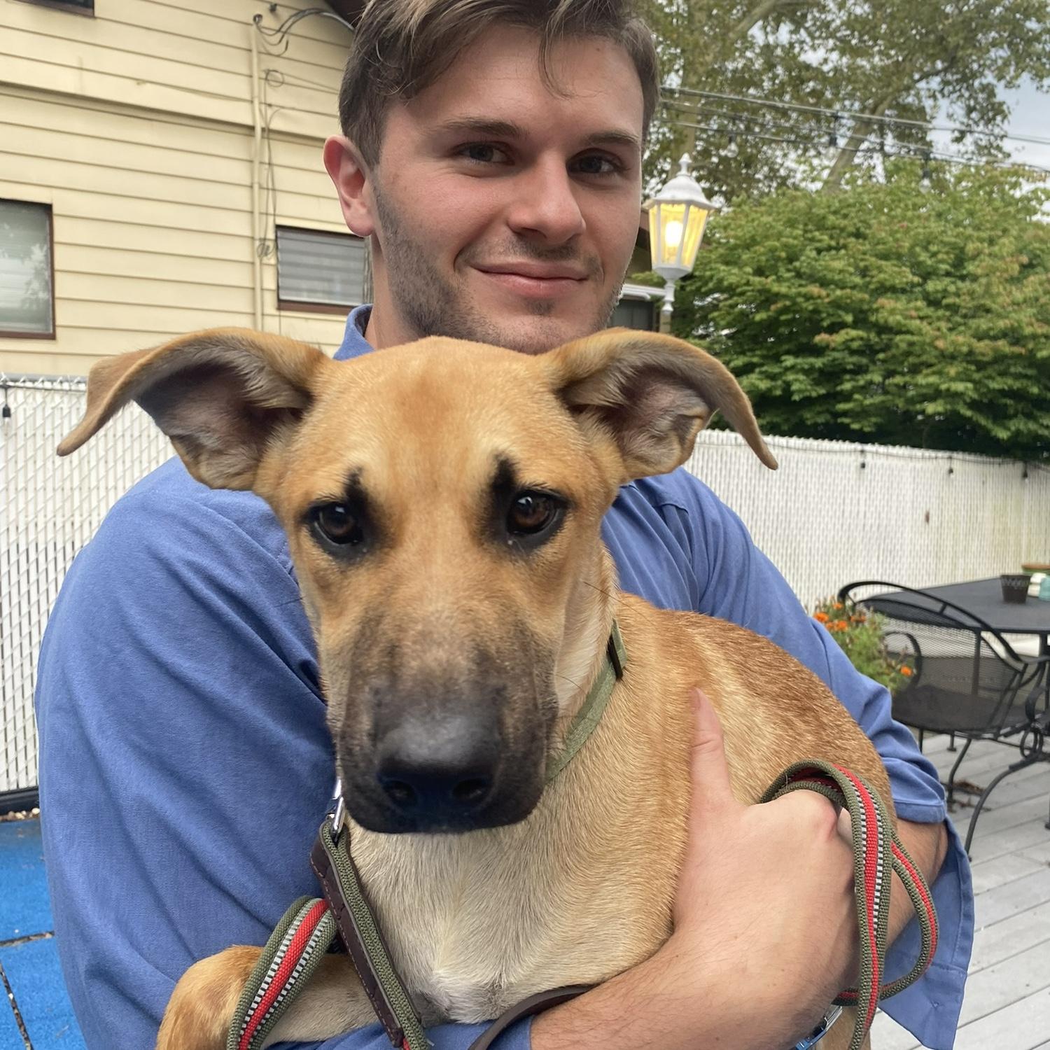 Our first furry friend adopted !