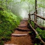 Adirondack Day Hikes
