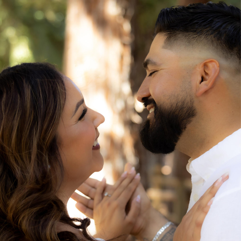 Eleny Meraz and Raul Limon's Wedding Website