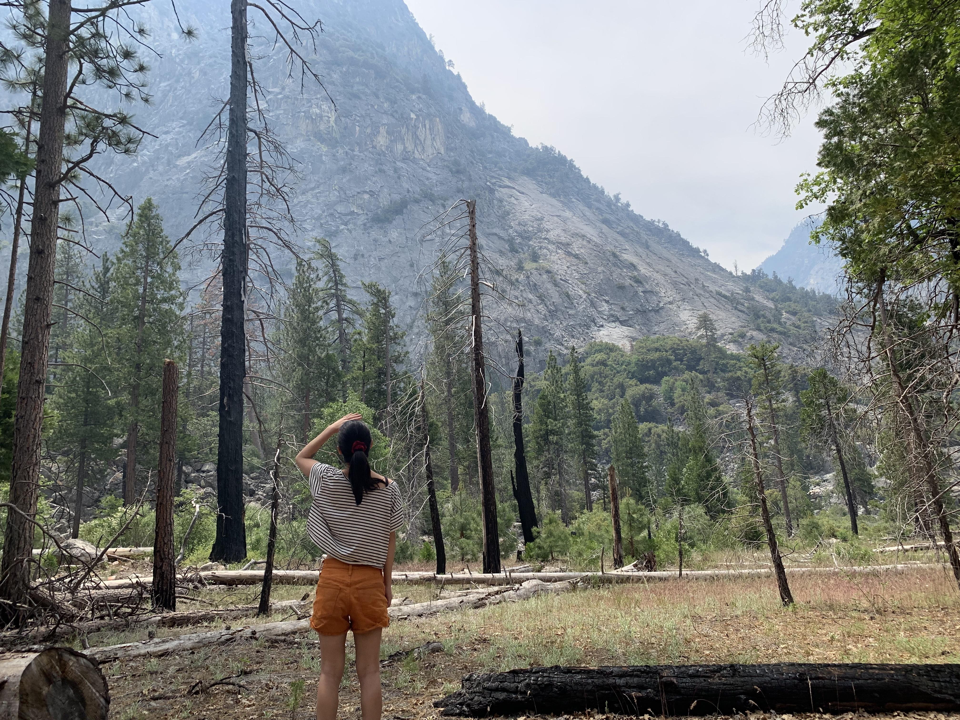 a7e88364-852b-49d8-ad18-9be4265cd3b7