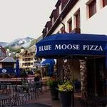 Pizza at the Blue Moose