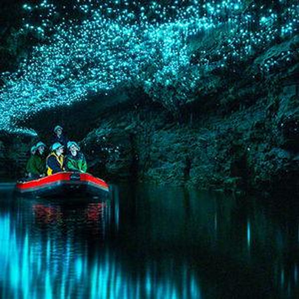 Adventurous Excursions (Skydiving, Cave Tours, etc.)