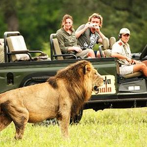 Private game drive in Serengeti