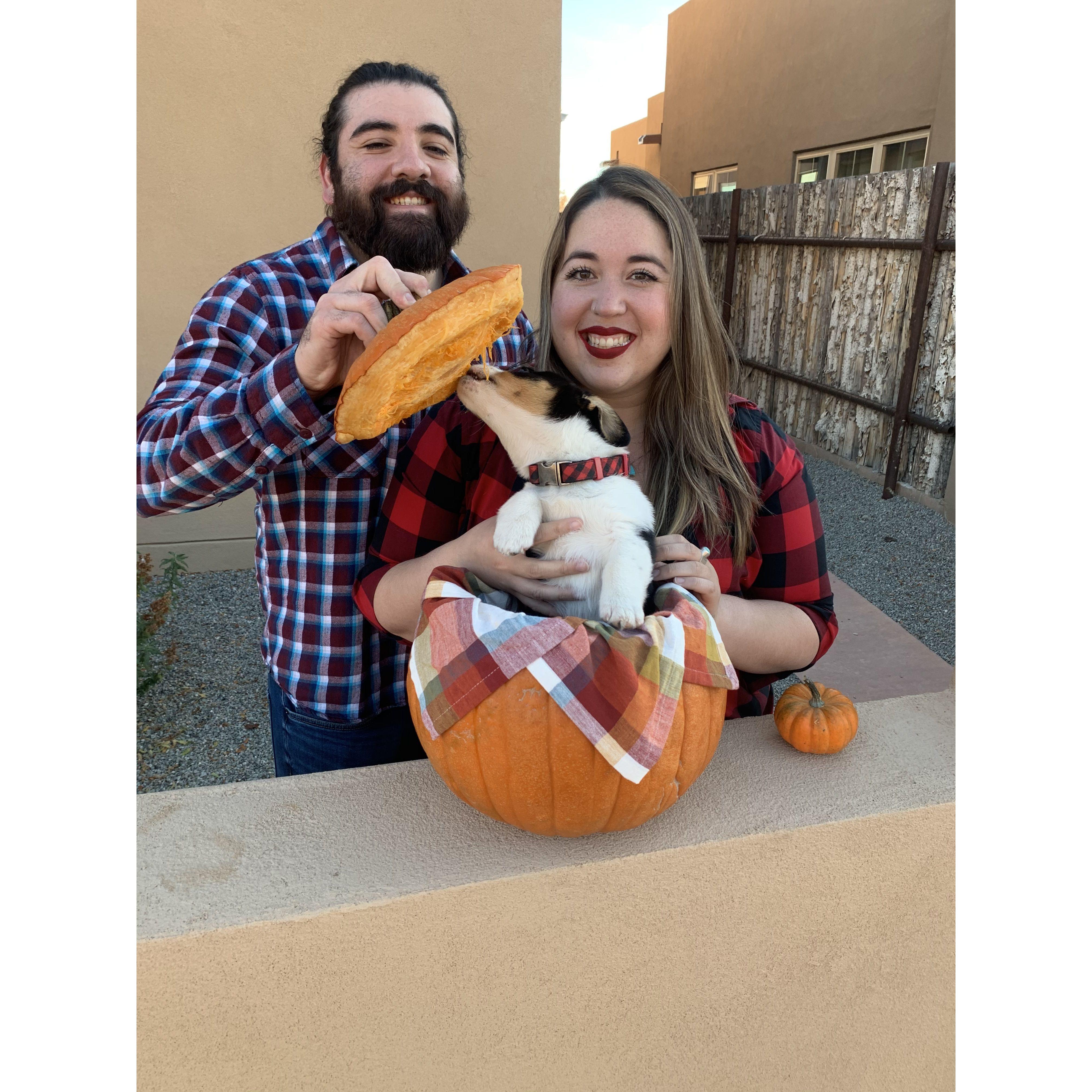 2020- first puppy- Bagel :)