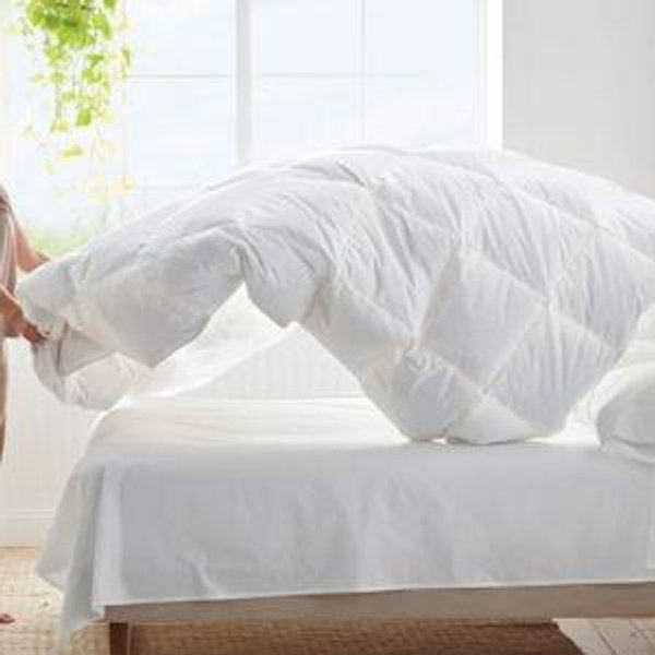 LaCrosse Premium Down Medium Warmth Comforter - White, King | The Company Store