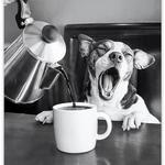 Who Needs Coffee?!