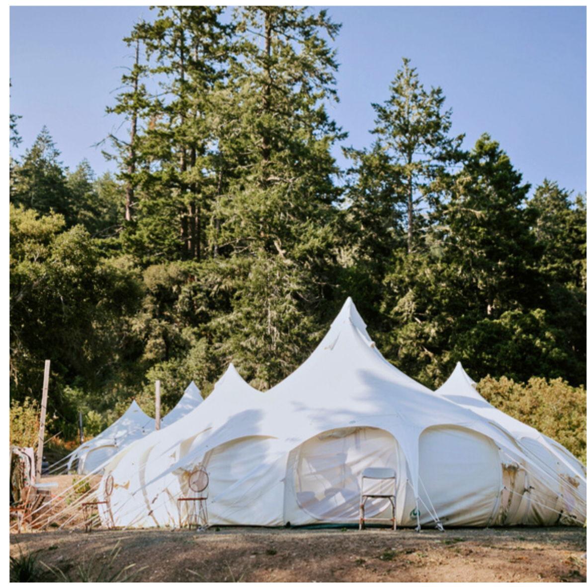 700 sq foot Lotus Tent