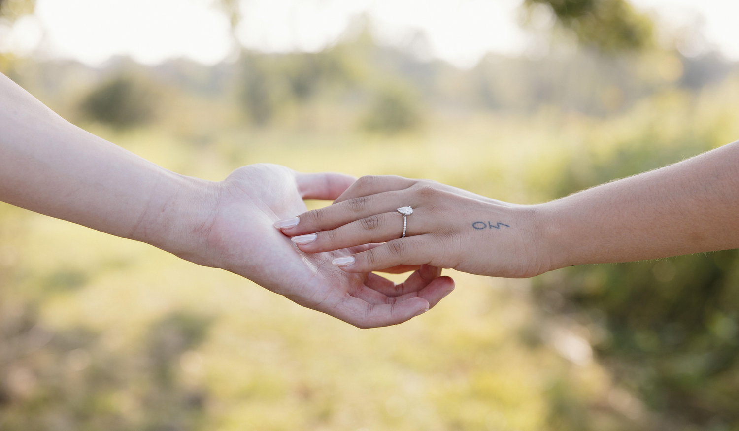Footer image
